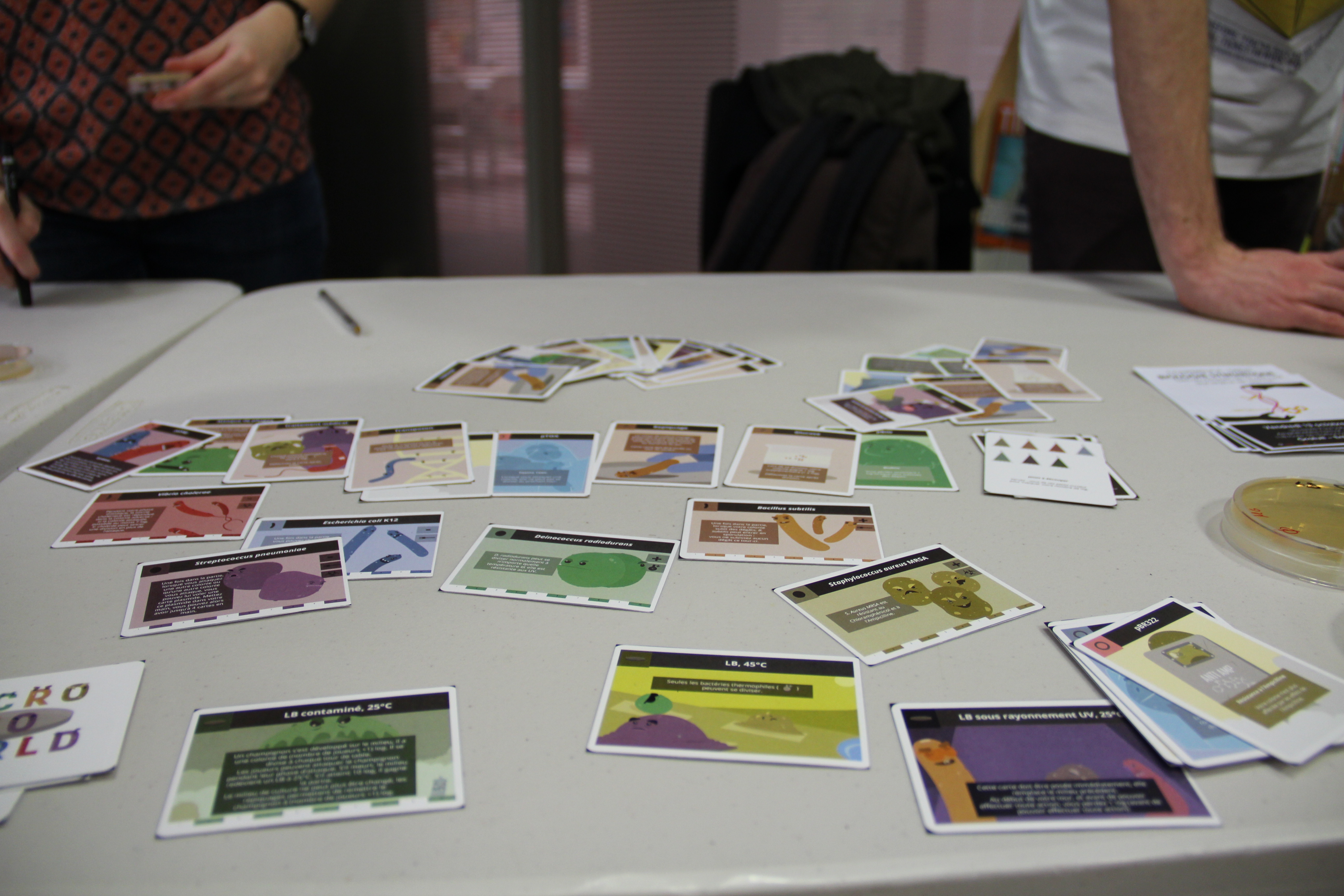 Partie de cartes a la bibliotheque de l'INSA