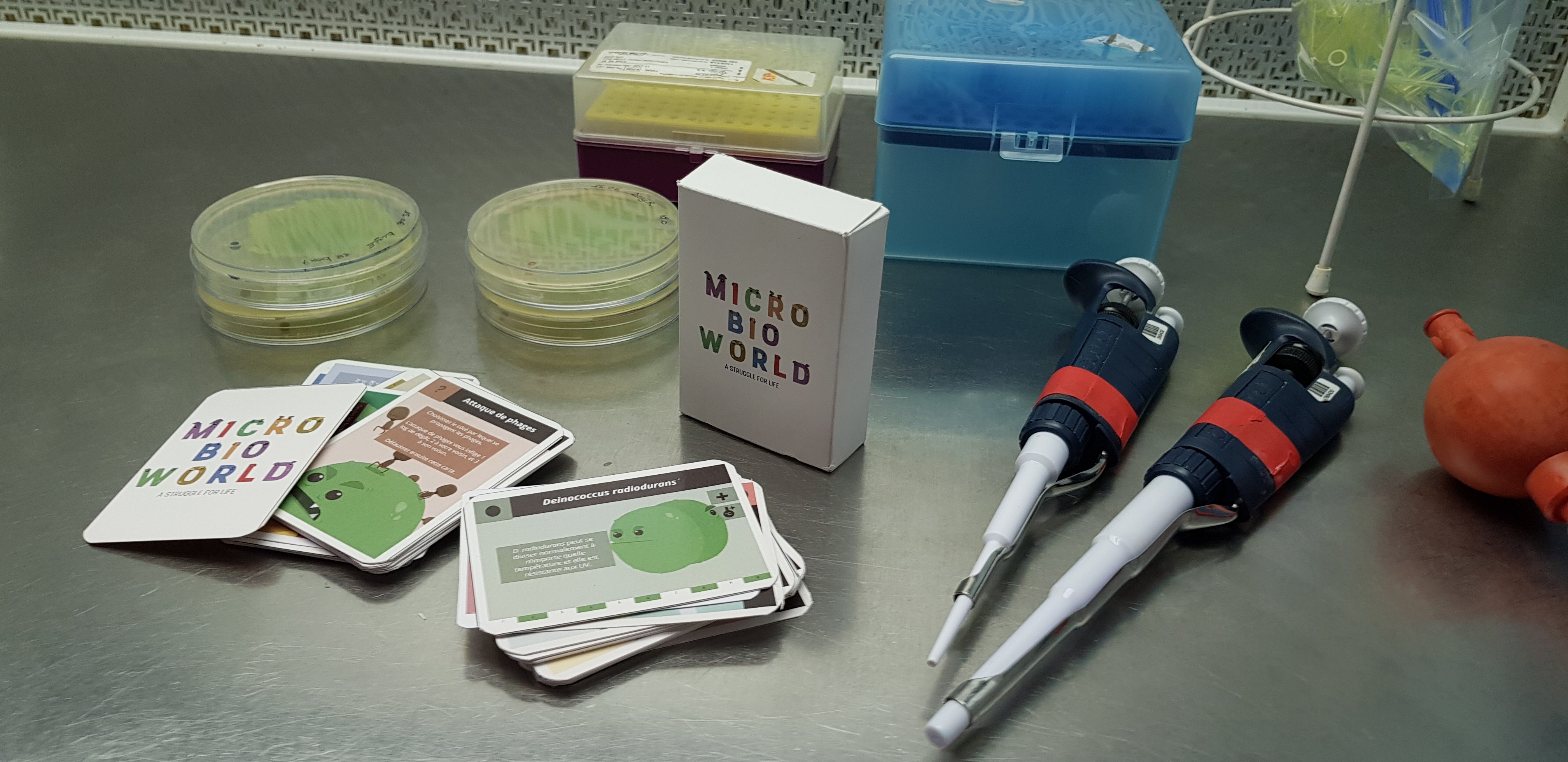 Photo du jeu de carte sous une hote de laboratoire